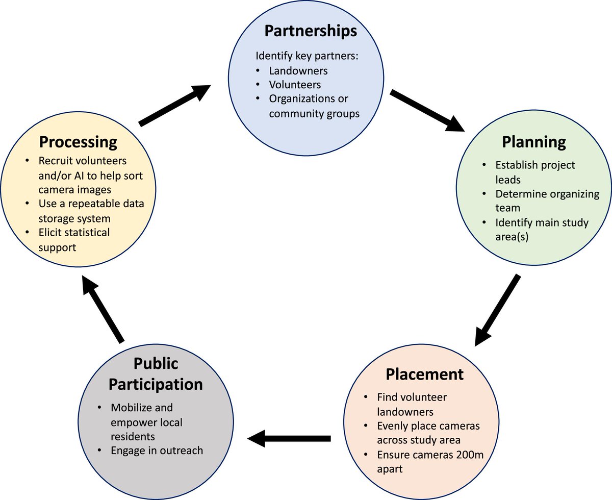 FACETSJournal's tweet image. New 📰| Conducting #CommunityLedResearch using trail cameras to develop baseline wandering domestic cat local abundance estimates 🐈 @GowElizabeth @NatureCanada @echeskey

Read the paper ➡️ ow.ly/aV6m50QnNyP