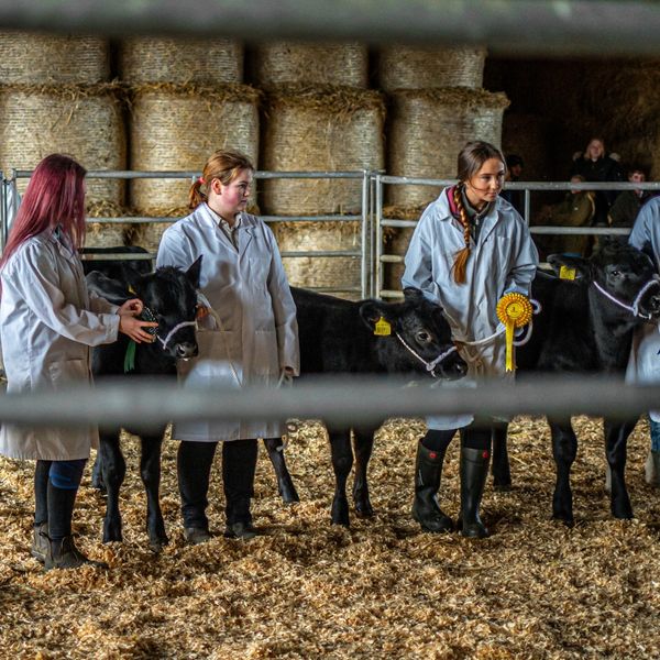 East Durham College tweet media