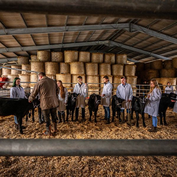 East Durham College tweet media