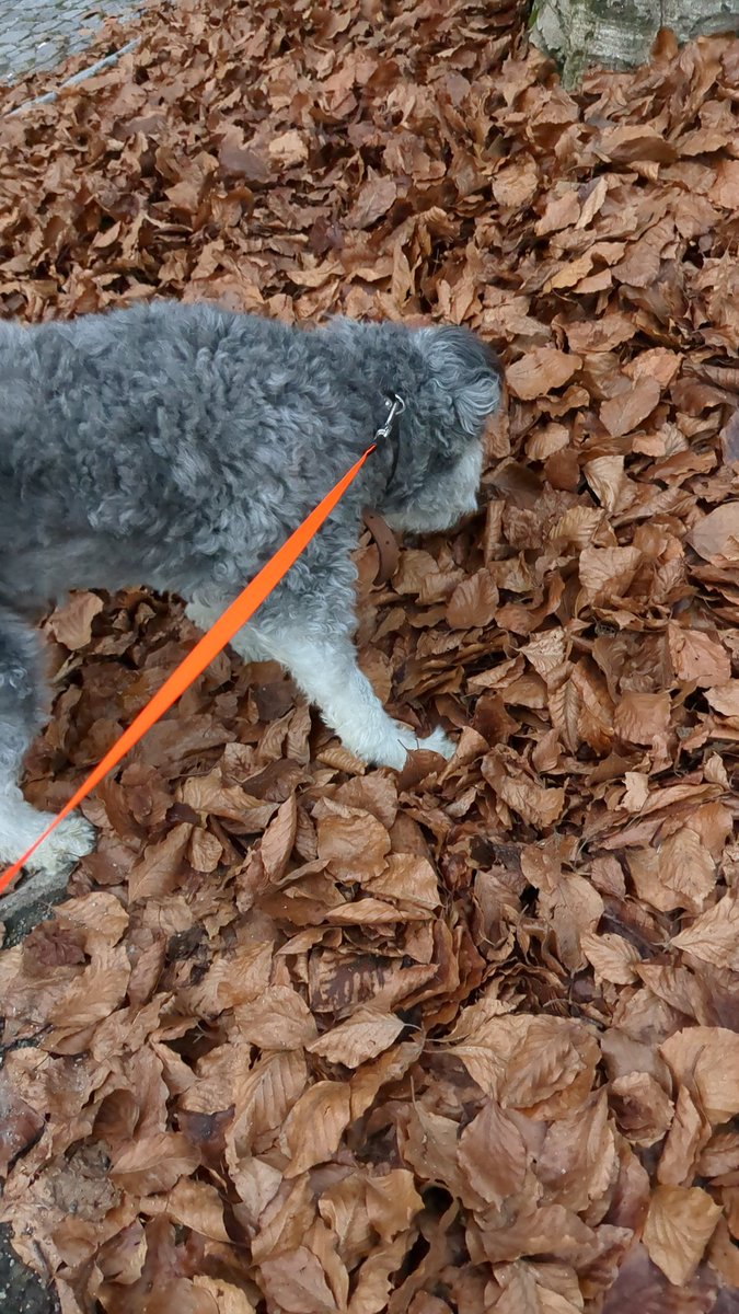 Hab jetzt das Stadt-Blatt abonniert!