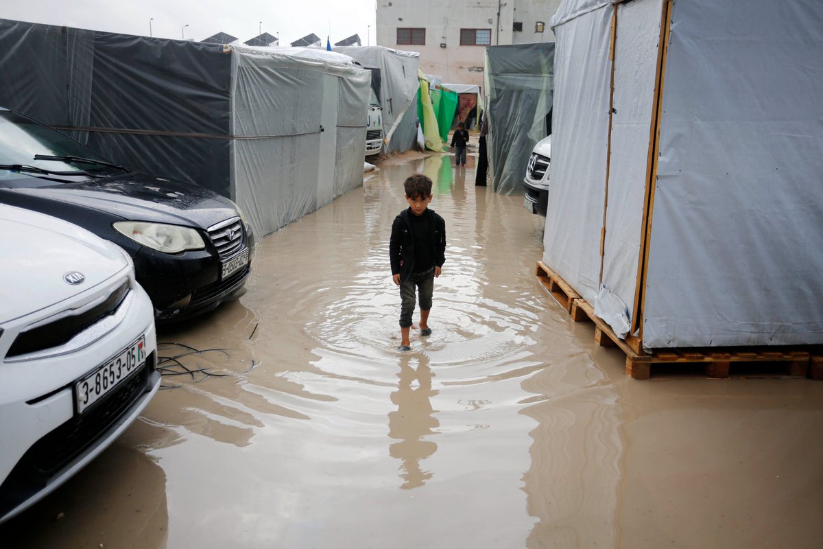 UNRWA's tweet photo. 📍#Gaza 1.9 million displaced people face alarming spread of infectious diseases🚨

@WHO:
🔺180K people with upper respiratory infections
🔺+136K cases of diarrhoea, 1/2 children under 5
🔺+55K cases of lice &amp; scabies
🔺+5K chickenpox cases

Each day, the situation deteriorates. https://t.co/BuAEqOp7h8