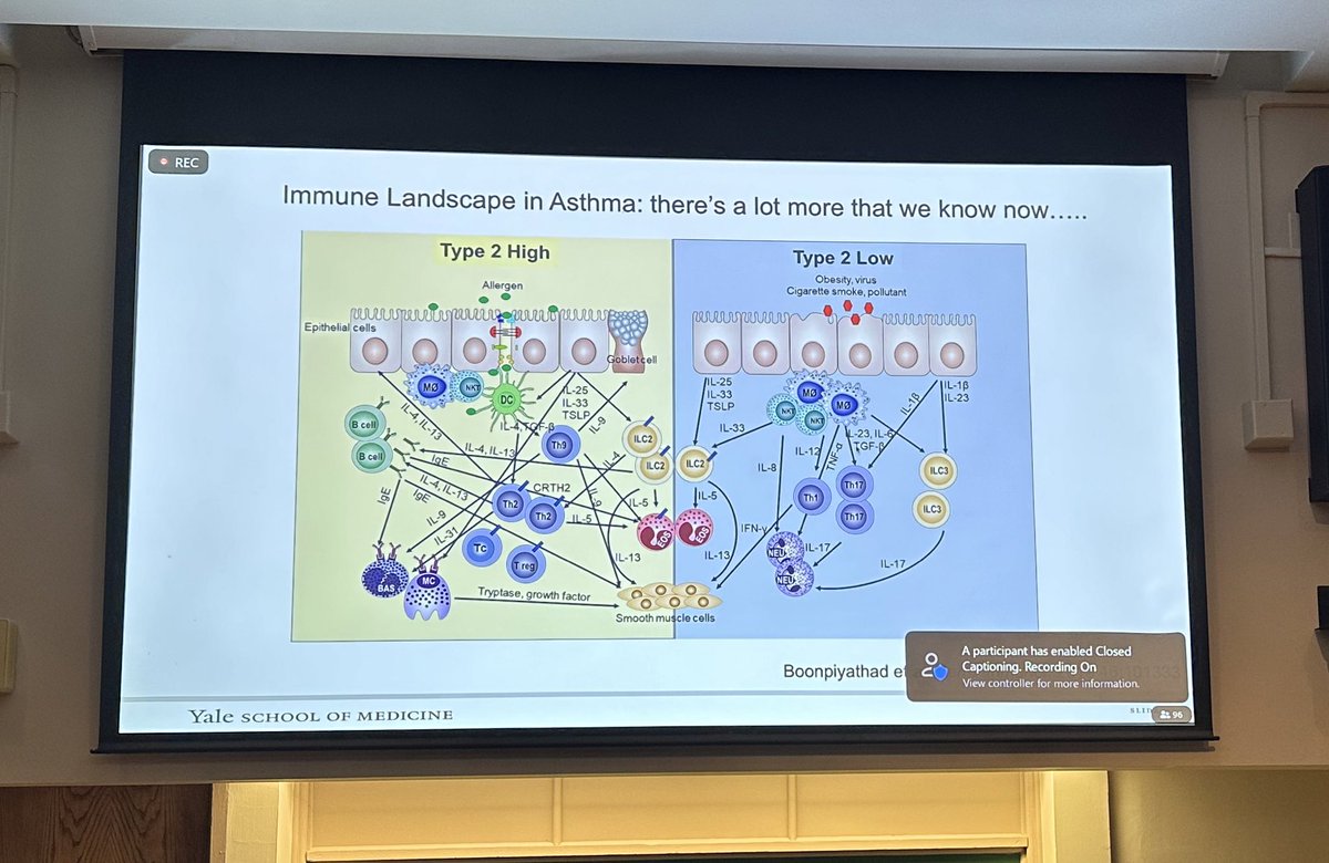 KaminskiMed's tweet photo. Great moments today at Medical Grand Rounds today,
Prof Lauren Cohn talks about family, mentors, mentees, path to #CureAsthma! And her talk was amazing
“Asthma from Bench to Bedside: A Career Focused on Airway Inflammation & New Therapies
#WorkLifeBalance
#ThisIsYalePCCSM https://t.co/UWEbzA9jCB