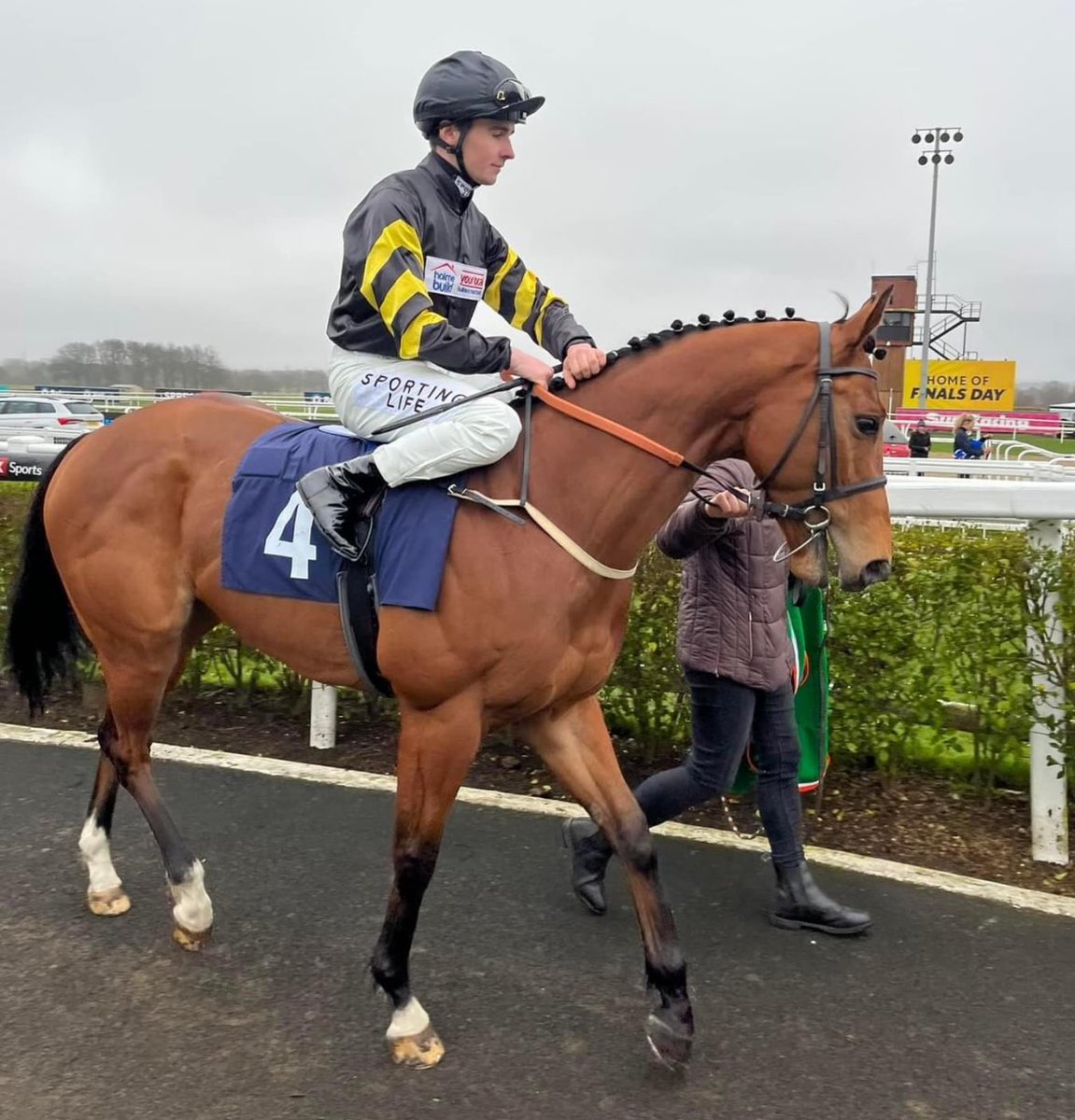 Golden rainbow back in action tonight <a href="/NewcastleRaces/">Newcastle Racecourse</a> 

First run for <a href="/RebeccaMenzies/">Rebecca Menzies</a> 

7.40
Joc- A Rawlinson