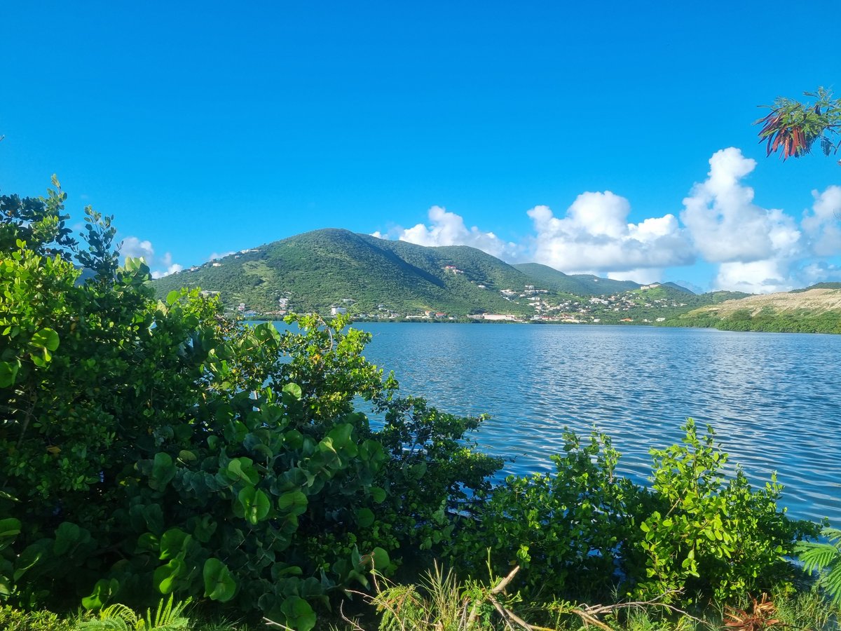 CaribHousing tweet media