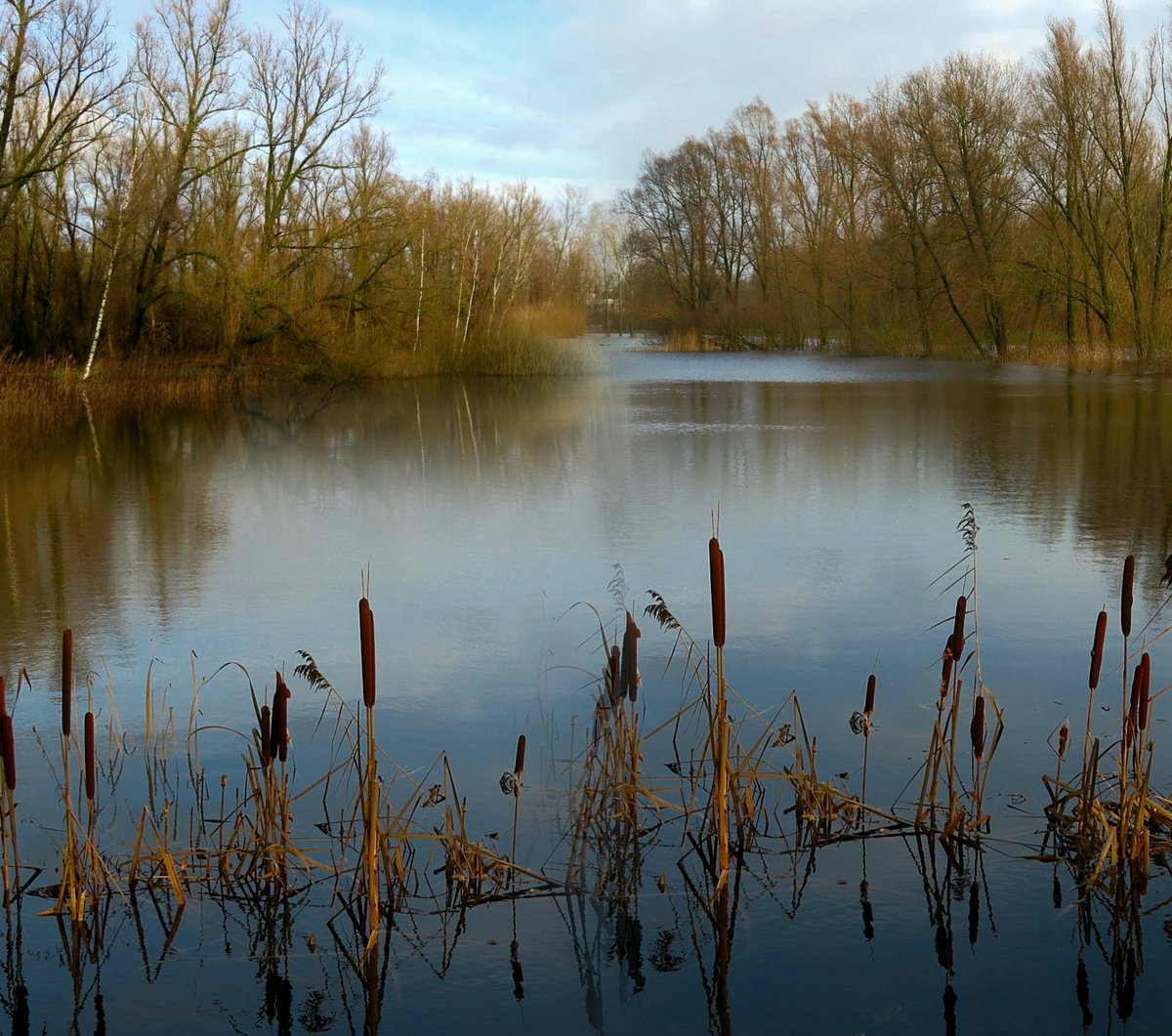 iet1234's tweet image. &apos; nature painting&apos;   🤎🤎  wish you all a nice evening 
#naturelovers #Januaryvibes