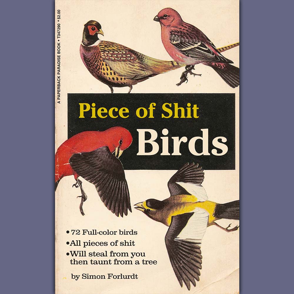 Birds, man. Pieces of shit.