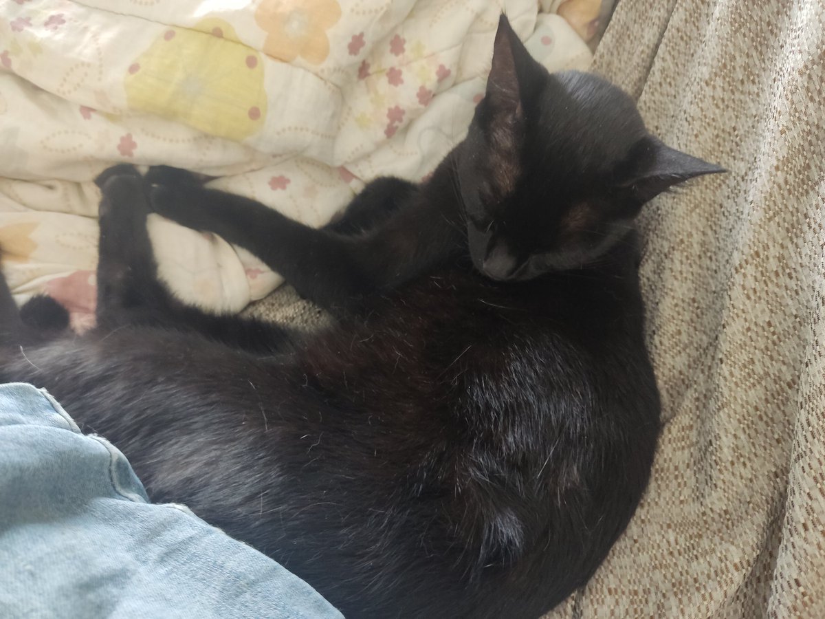 Boa tarde vermelhas e vermelhos!!!
#Shao