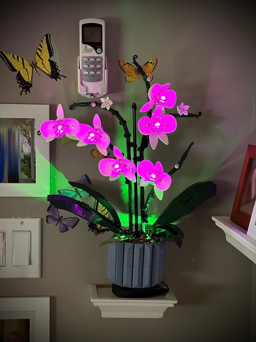 amyhermes's tweet photo. #LegoOrchid + #LightKit = Perfection https://t.co/SwWGM8WV3z