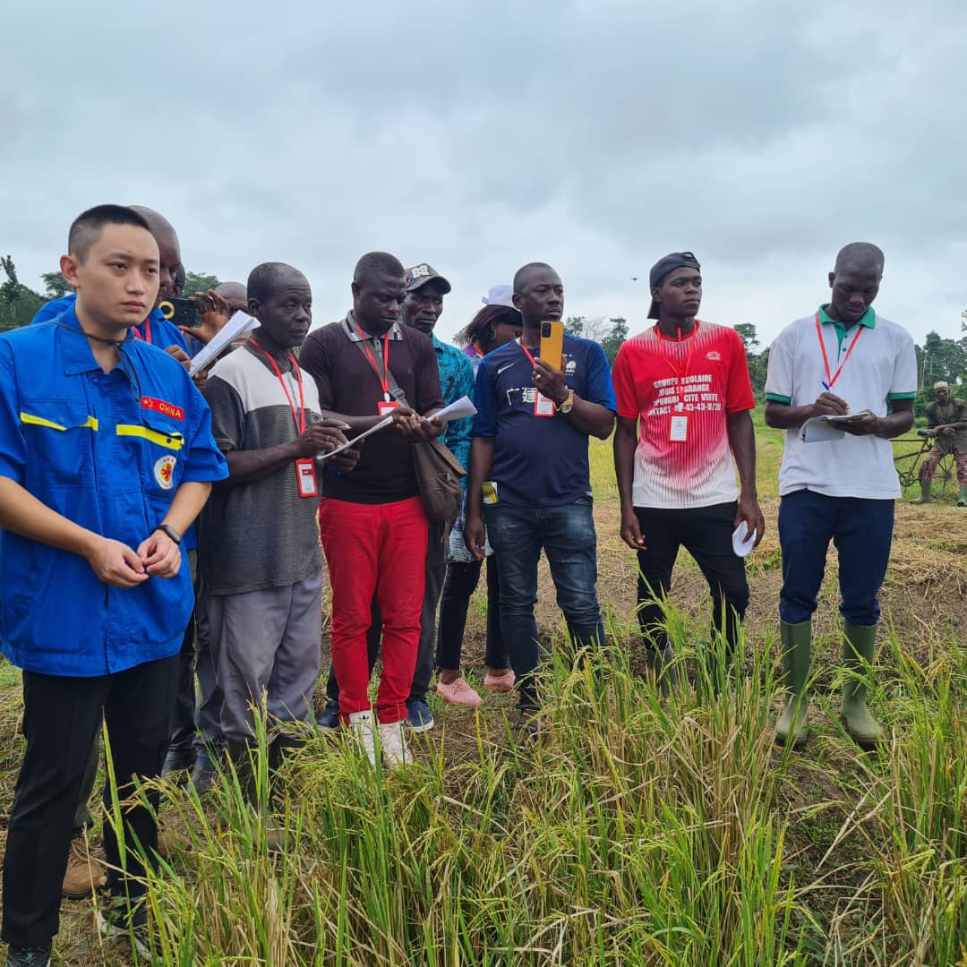 A travers des missions d'assistance technique, des visites d'étude et la promotion des #BonnesPratiques, la coopération Sud-Sud est restée au cœur de l'intervention du CERFAM en 2023, en tant qu'outil clé utilisé pour partager l'expertise & les connaissances entre les pays en 🌍.