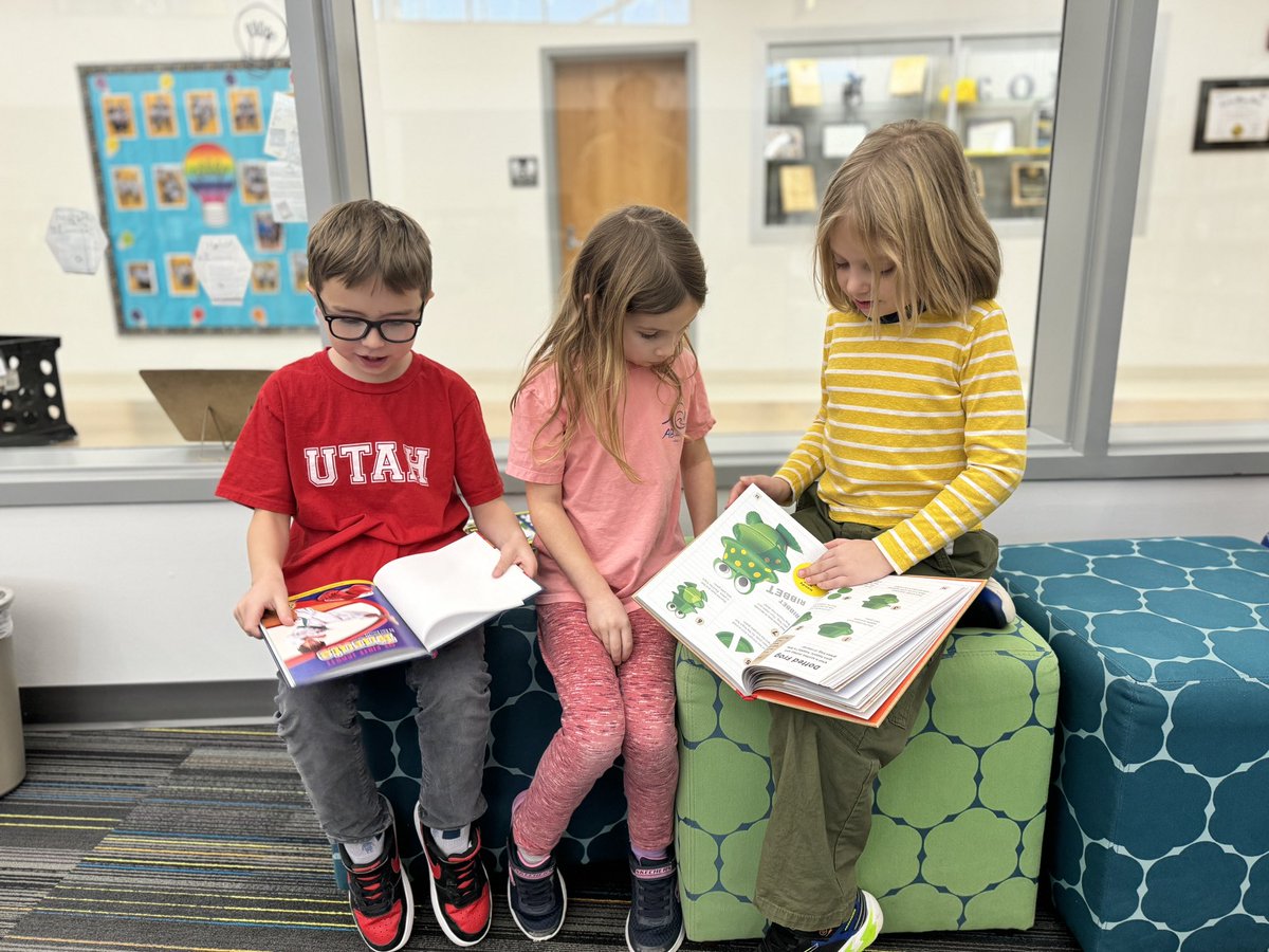 BrickLovesBooks's tweet photo. Thrilled to see students back in the library, eager to explore the world within the pages of books! 📚 The love for readinf never goes out of style. Let's make 2024 a year of endless discoveries! #BackToTheBooks #LibraryLife #LearningJourney #ConnE #reading #books https://t.co/MkBKRaGiIm