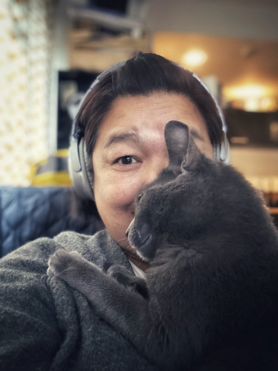 fanny_abernathy's tweet photo. Assistant qui sert à rien #CatWorker https://t.co/3bmwc5vH01