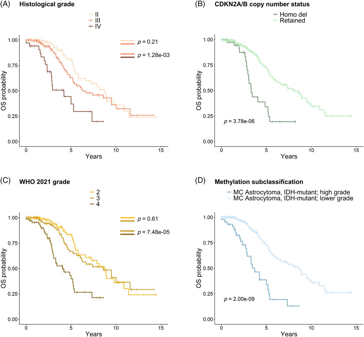 brainpathol's tweet photo. Refinement of prognostication for IDH-mutant #astrocytomas using DNA methylation-based classification
#neuropath #braintumor
https://t.co/oxMwrJMQaO https://t.co/4d5gdD9R4S