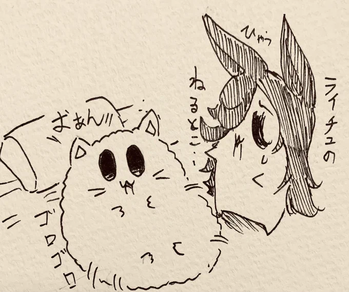 自分のとこで寝て…🐈