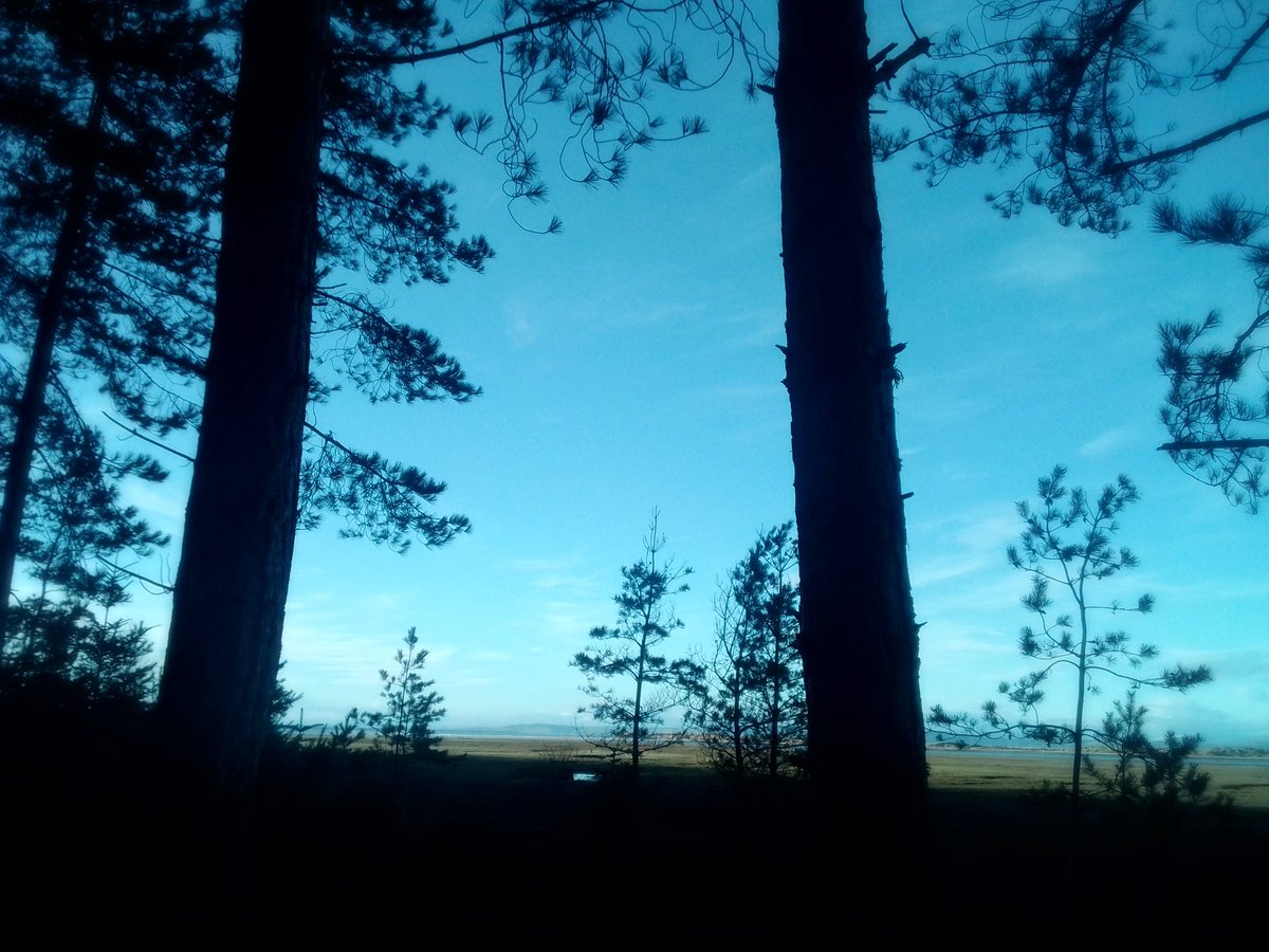 DavidRoger1951's tweet photo. Picnic spot on the edge of #Culbin forest near #Lochloy overlooking the salt marsh and the Bar.
π₯ͺ β π https://t.co/nTmTnxD7jE