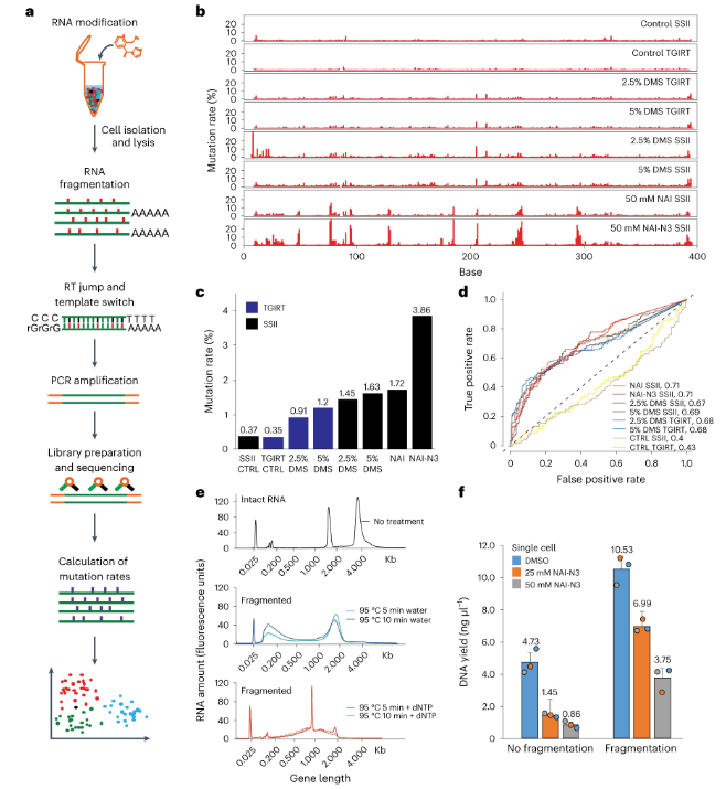 SHAPE-inspired RNA structure profiling at single-cell resolution!! Read about it in the paper out today from Jiaxu Wang and Yue Wan. nature.com/articles/s4159…