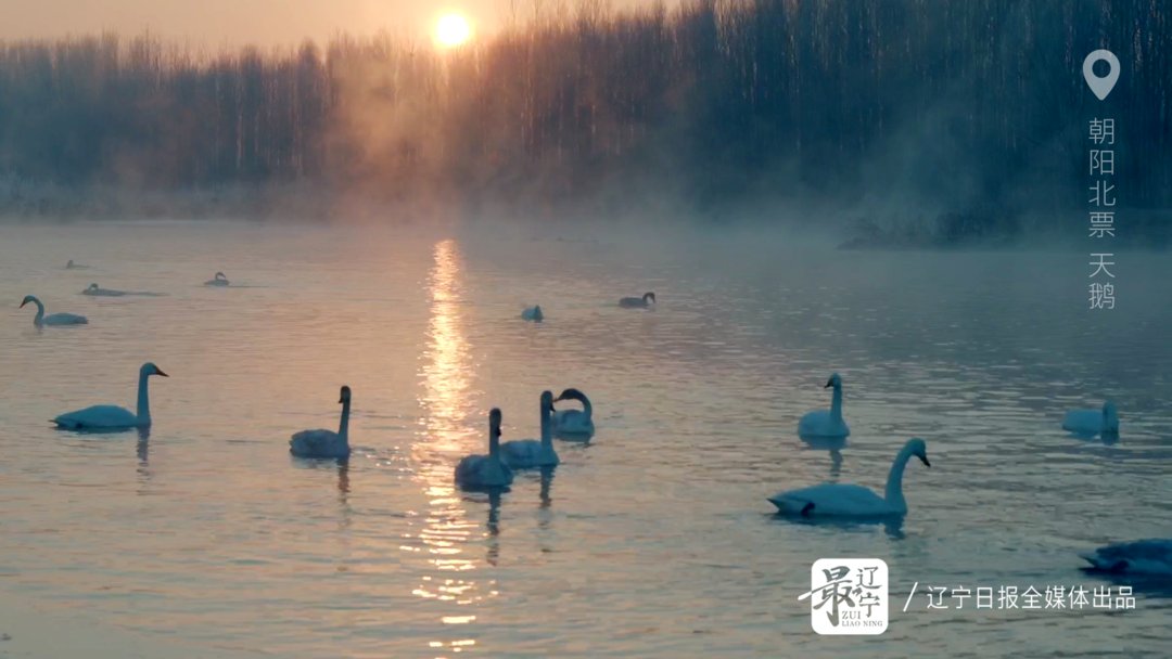 DiscoverLN's tweet photo. #LiaoningTourism #DiscoverLiaoning Capture Liaoning's breathtaking landscapes ๐ธ, narrate the dynamic scenes of revitalization with light and shadow. ๐ #LiaoningLandscapes #DynamicRevitalization #CaptureTheBeauty โจ Photos: credit to ่พฝๅฎๆฅๆฅ, DM for removal https://t.co/yZVgz3rbKN