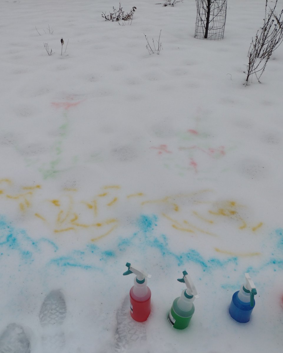 NewfoundRegion's tweet image. There's snow in the forecast! We're so excited to explore how that changes being outdoors at Nature Station, Jan. 16 1-3pm at Grey Rocks- join us as we investigate ice, paint snow, &amp;amp; make a craft to take home! Info at NewfoundLake.org/events #exploreNewfound