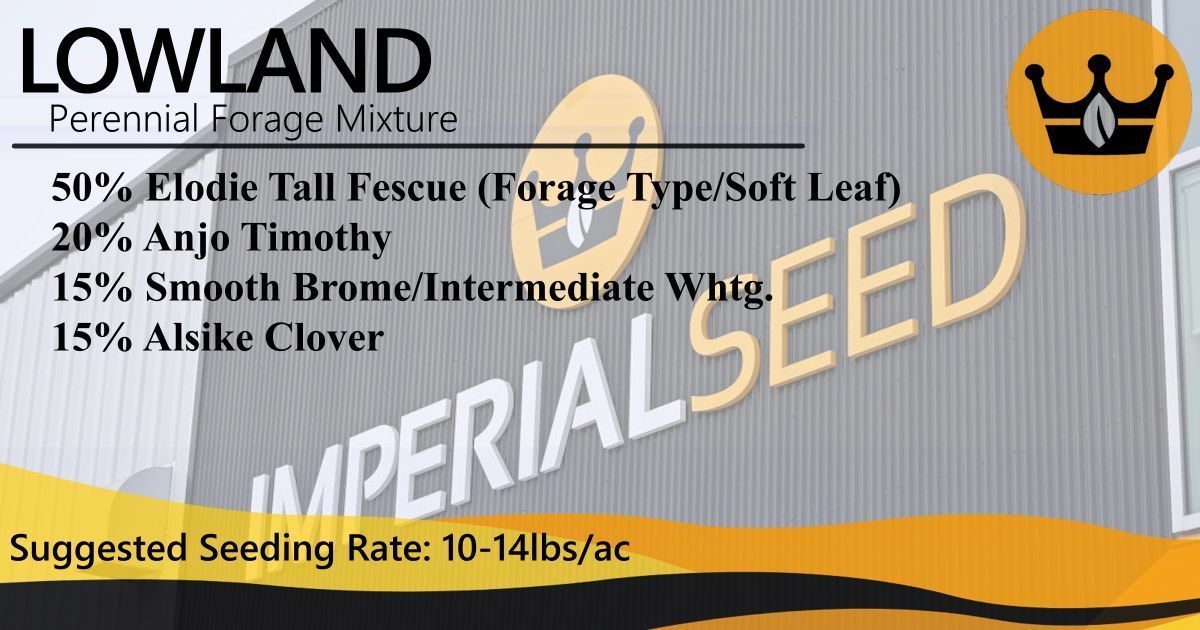 Our Lowland forage blend is specially designed for heavier soil types where alfalfa may be difficult to establish. 📞 (204) 786-8457 📍 8040 Park Royale Way, Winnipeg, MB R3C 2E6 🌎 imperialseed.com