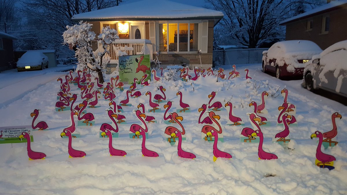 AOSigns's tweet photo. Yes, I do winter lawn signs. Serving Oshawa, Whitby, Ajax, Pickering, Scarborough, Newcastle and more? Do you  have a milestone birthday, anniversary, retirement, new baby arrival? Surprise them with my super fun and colourful lawn displays. Call to order 289-385-4320 https://t.co/EfPAuEXbvV