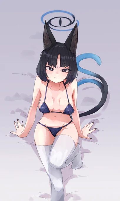 ドラゴンビキニ猫 