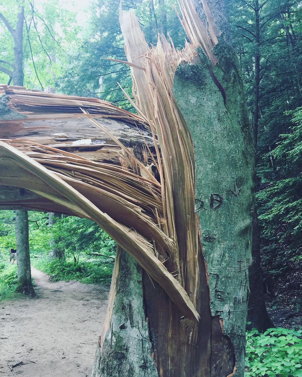 wild_nomadic's tweet photo. Hocking Hills State Park in Southeast, Ohio truly is a hidden gem! Worth a visit if you’re ever close. #hockinghills #caves #forests #hiking https://t.co/Uuq4DiF927