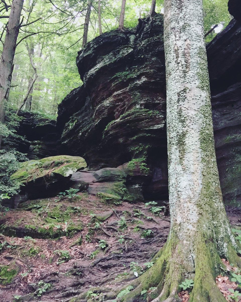 wild_nomadic's tweet photo. Hocking Hills State Park in Southeast, Ohio truly is a hidden gem! Worth a visit if you’re ever close. #hockinghills #caves #forests #hiking https://t.co/Uuq4DiF927