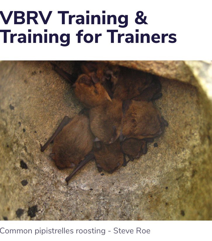 Nominations for the VBRV Training for
Trainers course are now OPEN until 15 January 2024!

If you are a level 1 VBRV and want to become a trainer, please speak to your trainer/bat group 💪

All the details are here: shorturl.at/nDTW7 🦇🏠⛪️