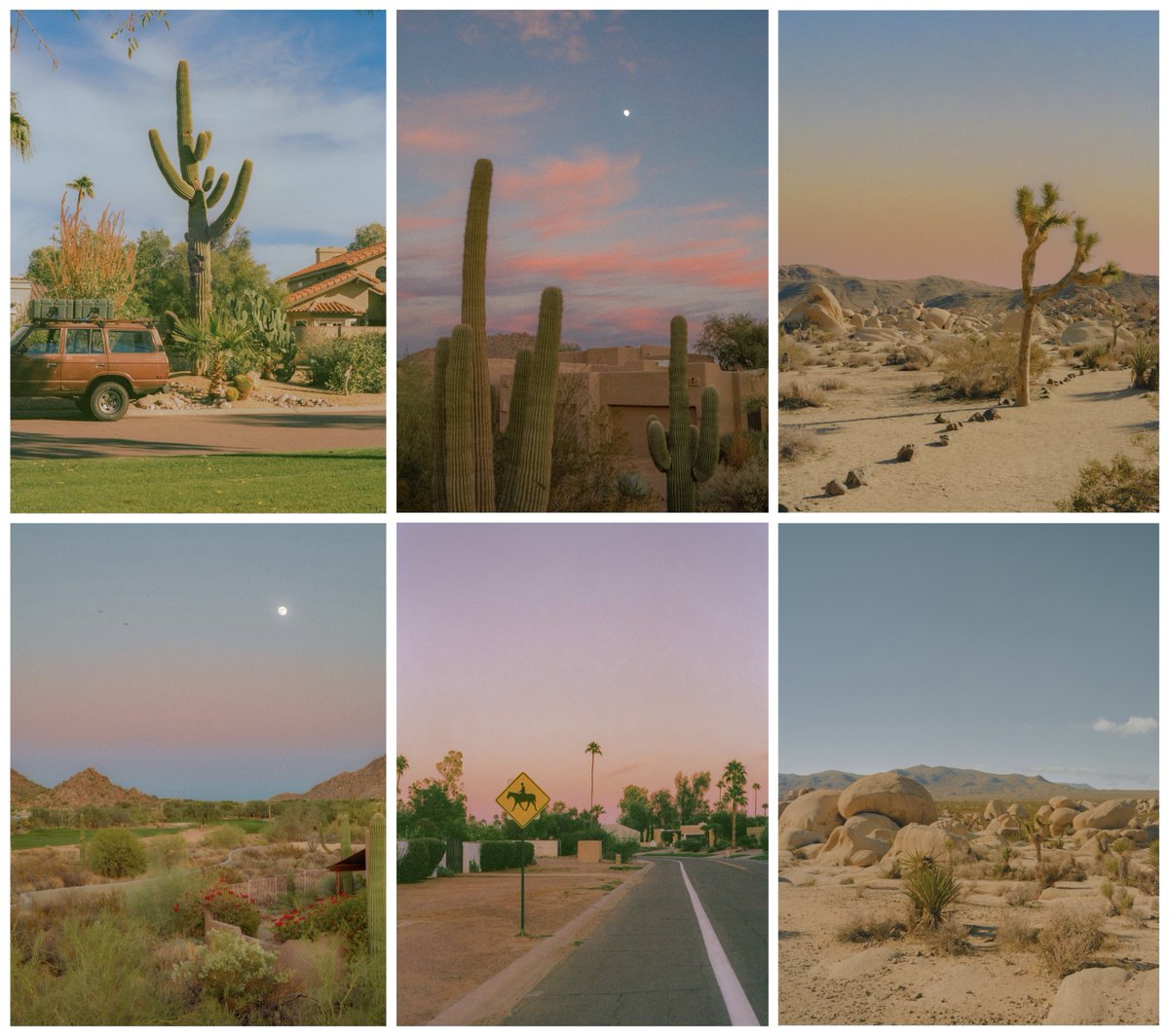 Desert Odyssey

Available now on ExchangeArt!