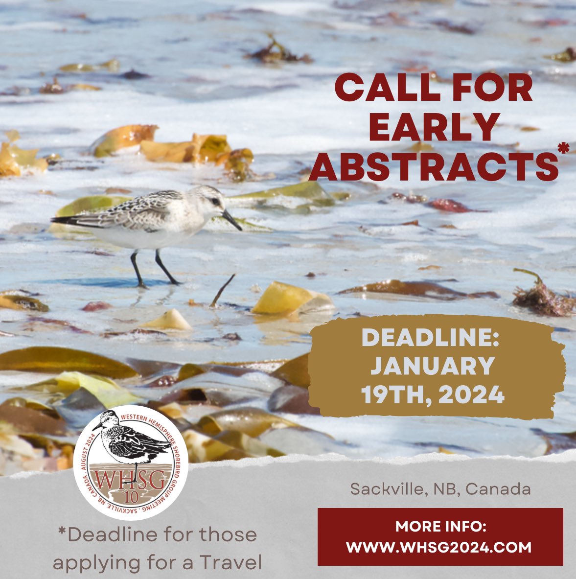 Western Hemisphere Shorebird Group 2024 tweet media