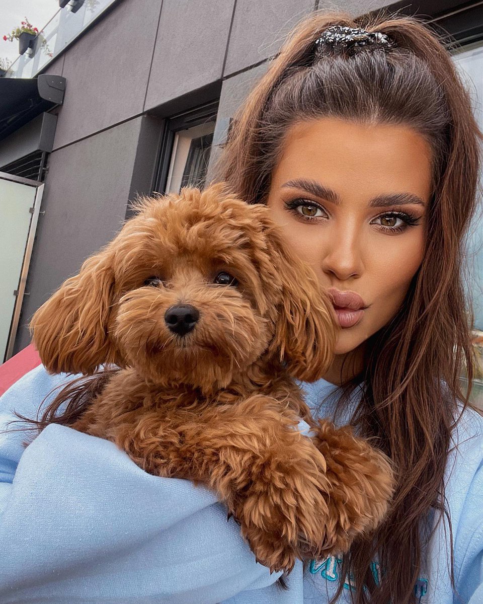 VALDICKCALIXTO's tweet image. Take a photo with a cute dog.