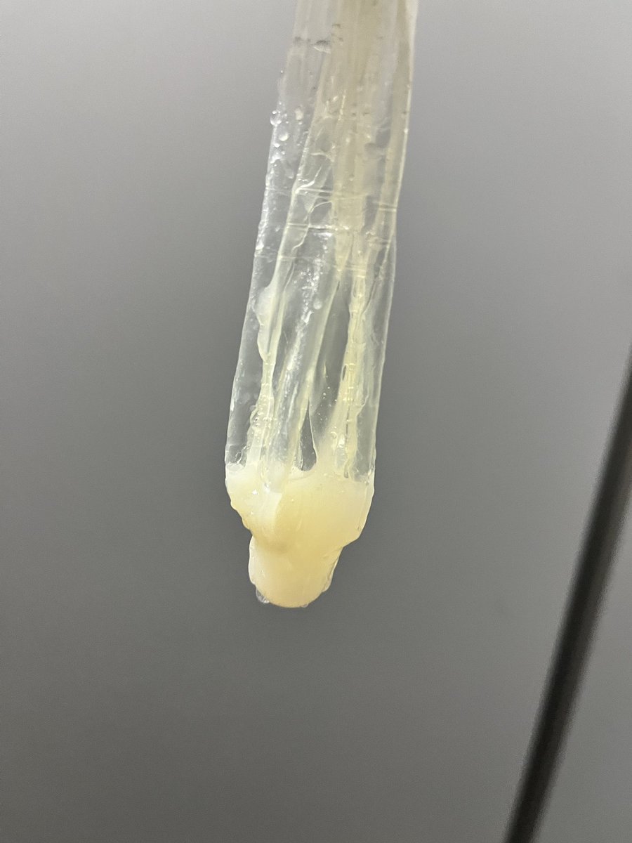 最愛のマグカップ