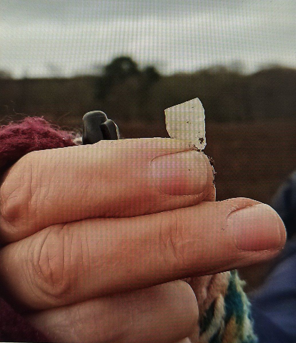 diggermann17's tweet photo. Very pleased to share the newly launched website for Mid Grampian Mesolithic - the latest community group in Aberdeenshire #Scotland to take on the challenge of discovering our early prehistory.
See https://t.co/qSzijAg28u
#pubarch #ScotArchStrat https://t.co/JEMo9MN37o
