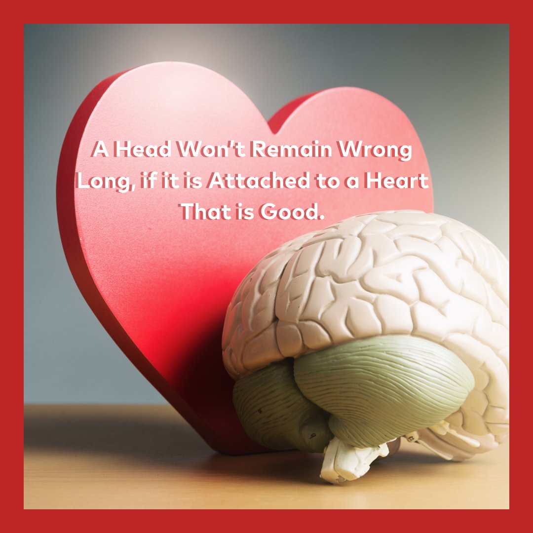 brad_agapecity tweet media