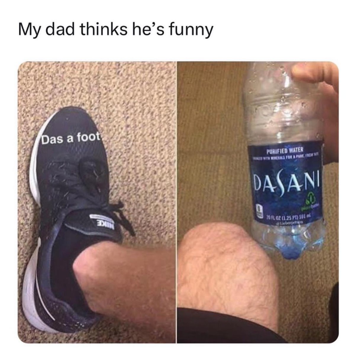 NO CONTEXT HUMANS (@humansnocontext) on Twitter photo 