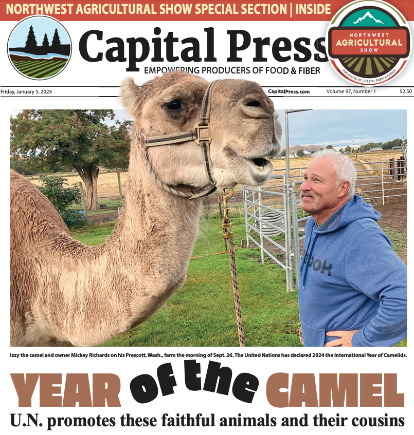 capitalpress's tweet photo. Read tomorrow's Capital Press today! Find the latest e-edition at https://t.co/K4P72b2xG5 #capitalpress #sneakpeek https://t.co/cI4JmgAmII