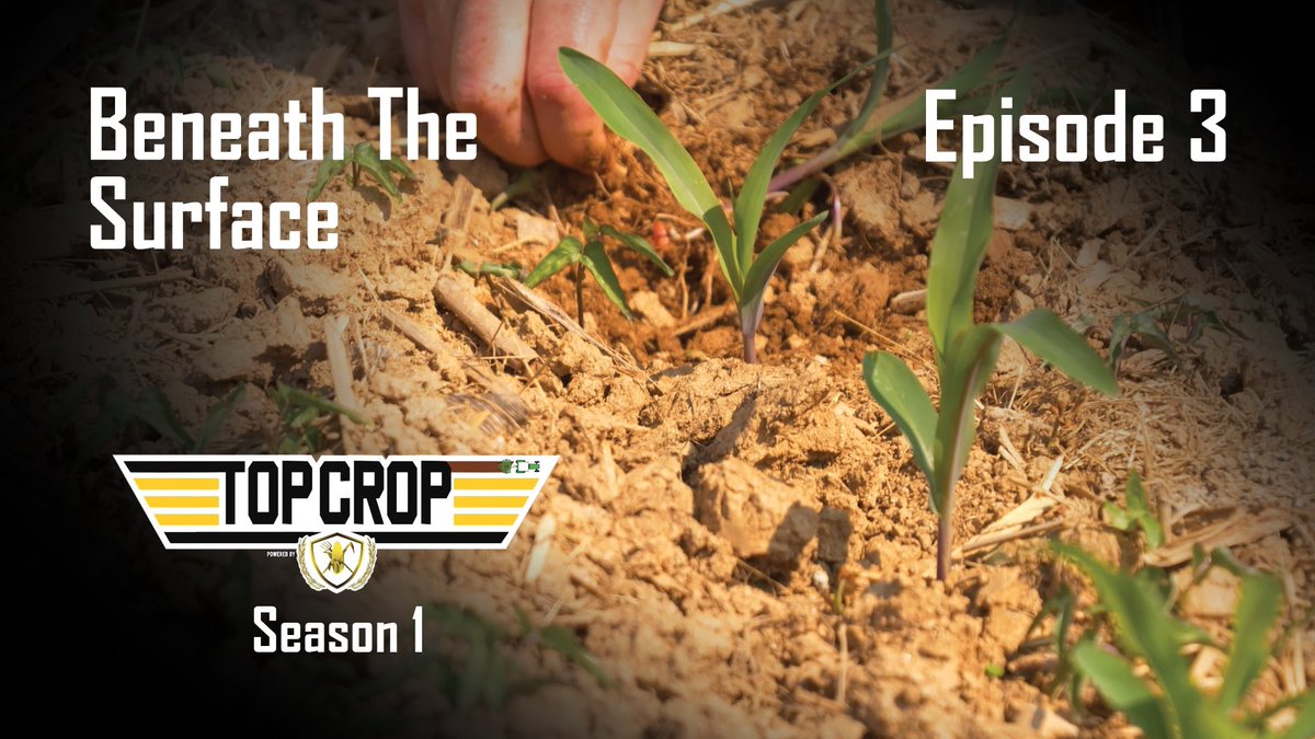 cornwarriorstv's tweet photo. Watch Top Crop on YouTube, RFD-TV, the Top Crop Mobile app or coming soon to Amazon Prime and Acres TV. #topcrop in this episode, Russell Hedrick takes a deep dive under the surface with more soil tests.  Cory Atley finishes planting and takes a look at some early planted fields. #agriculture #farming #agronomy #soiltest