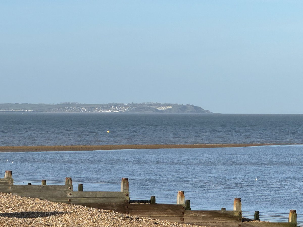 David Samuel tweet media