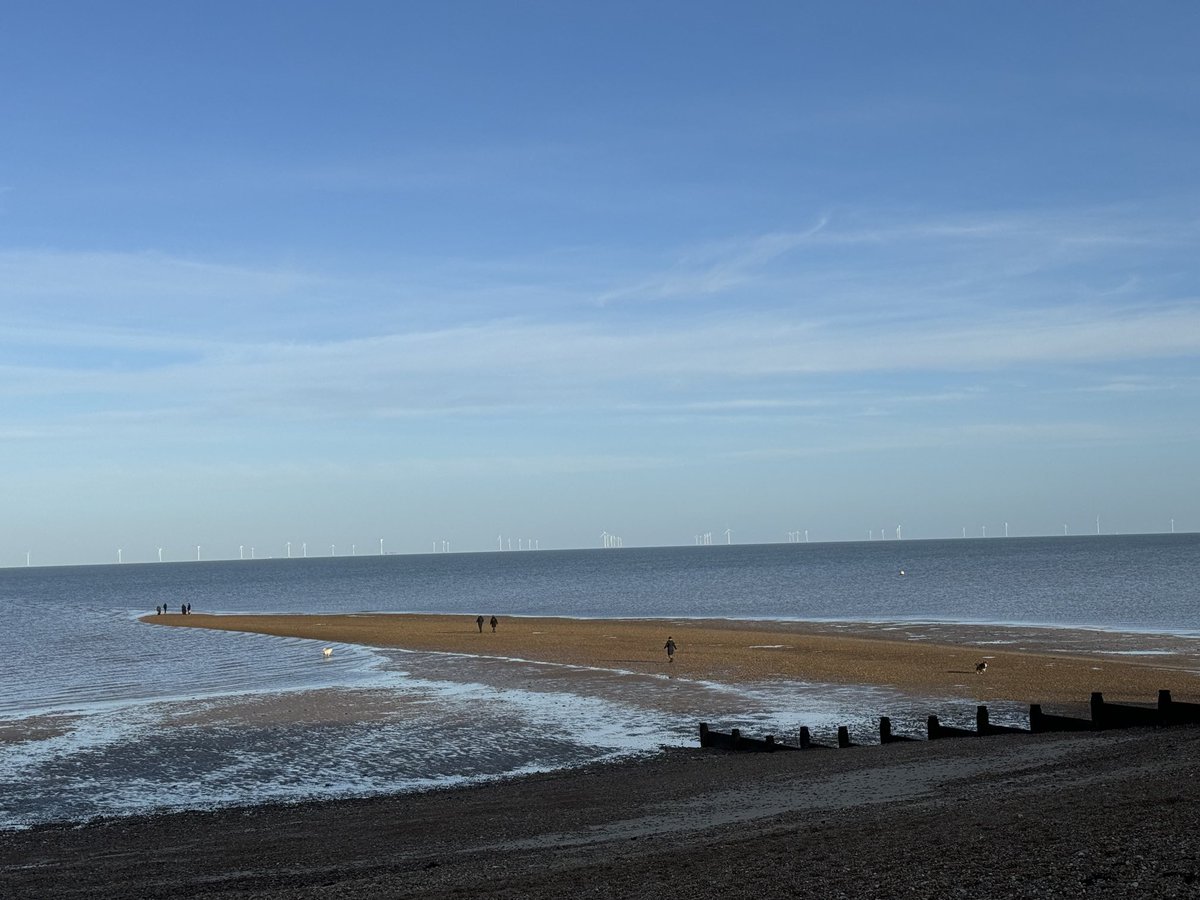 David Samuel tweet media