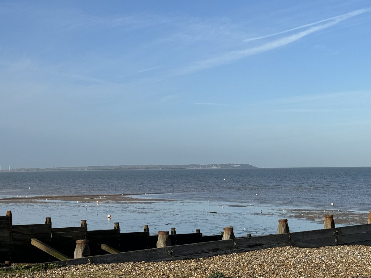 David Samuel tweet media