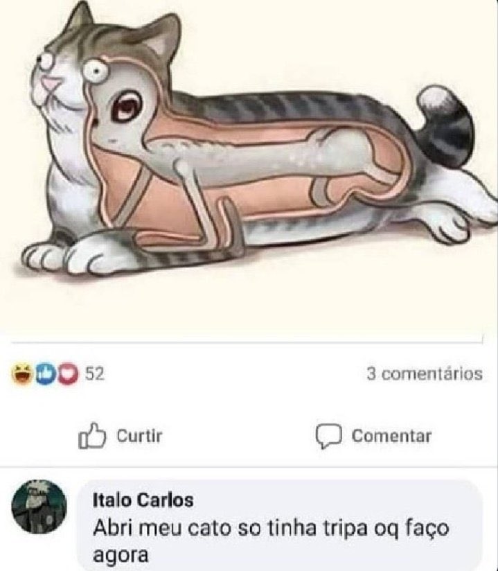 Isso com certeza foi feito por um maconheiro (@coisasmaconhei) on Twitter photo 