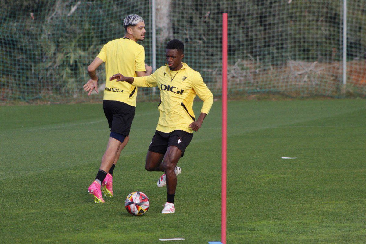 ⚽️🧠🍀❇️✅