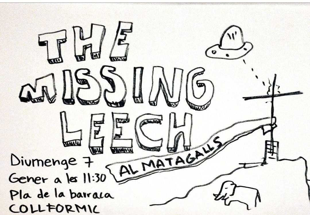 Qui s'apunta? Serà divertit.
#themissingleech #antifolk #matagalls #collformic