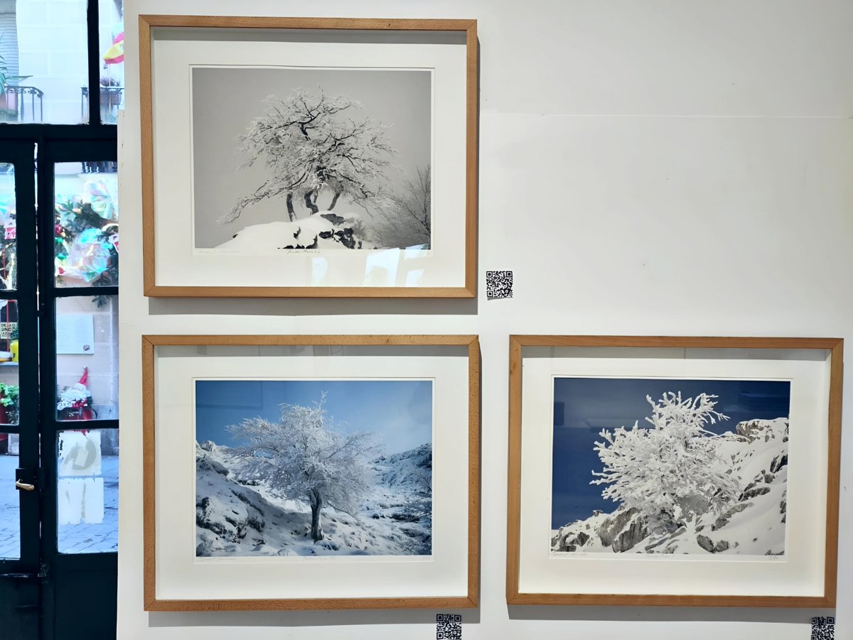 BlancaSotoArte's tweet photo. #RegalArte
¡ ESTAMOS DE VUELTA !
Sigue en exposición una SELECCIÓN EXCLUSIVA DE OBRAS de diferentes artistas A PRECIOS ESPECIALES
En estas fotos obras de Iñaki Ruiz de Eguino, Imanol Marrodán, Raúl Urrutikoetxea y una escultura de Daniel Ibarzabal https://t.co/s9Wg0Fi9f7