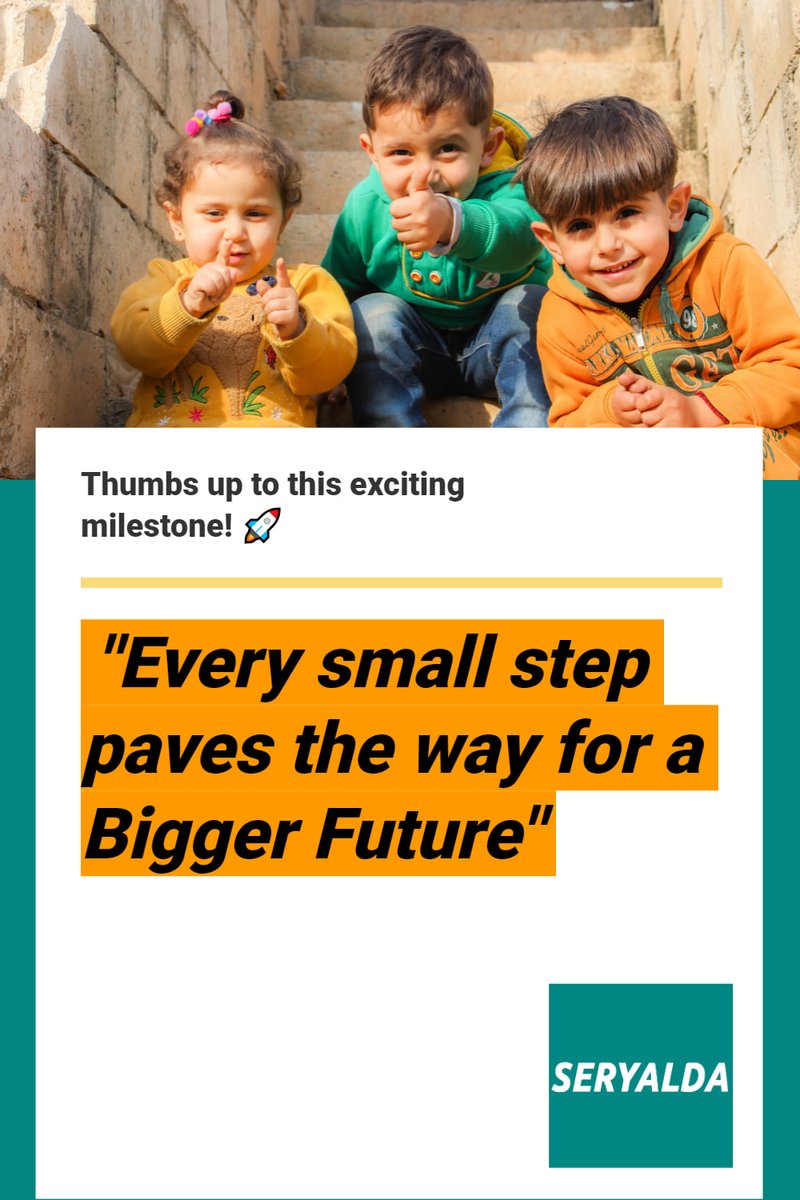 Seryalda Electronics tweet media