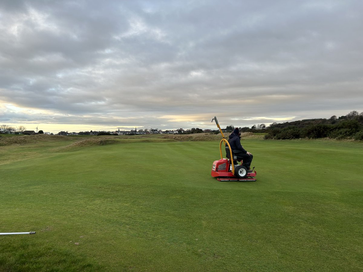 Leven_links's tweet photo. Great seeing the @BarenbrugUK Fescue seedlings thrive on greens throughout some challenging conditions of late.
Encouraging finer cultivars = lower nutrition | lower water inputs | maintenance reductions | all round better playing surfaces.
#LongTermGoal
#LevenLinks https://t.co/Akgx3v2Zx2