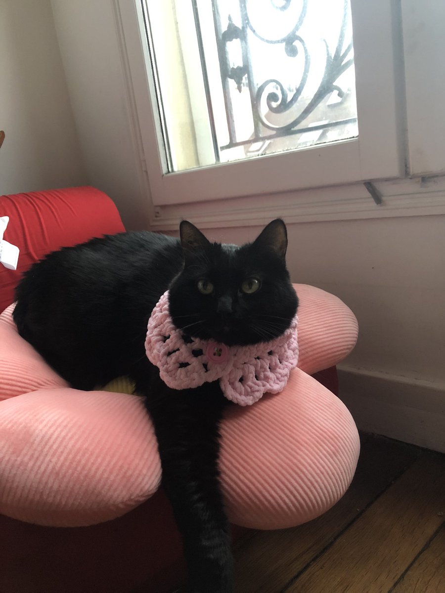 bootycelli_'s tweet image. Qu’ai je fait ..