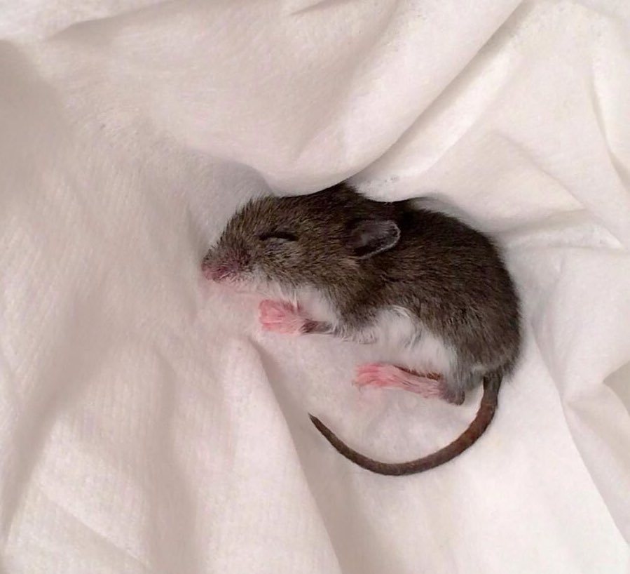 how   your email     finds me