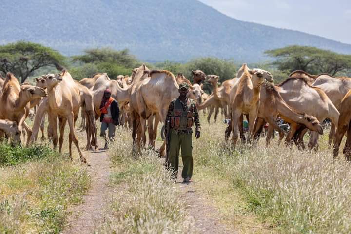 I remain commited to working closely with the national government to tackle insecurity, particularly the banditry issues, in our beautiful county…1)