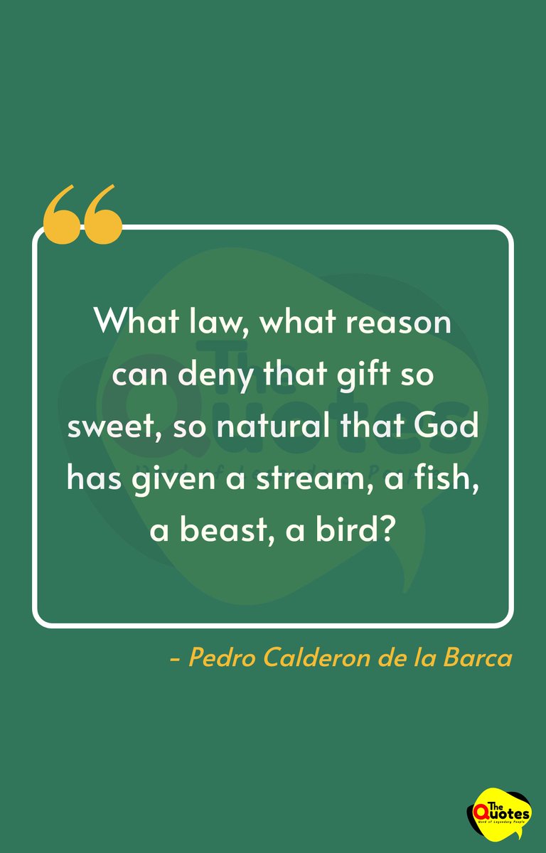 Keith Asakawa (@namio808) on Twitter photo 