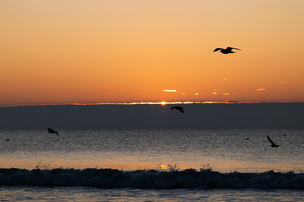 b a y l i s s tweet media